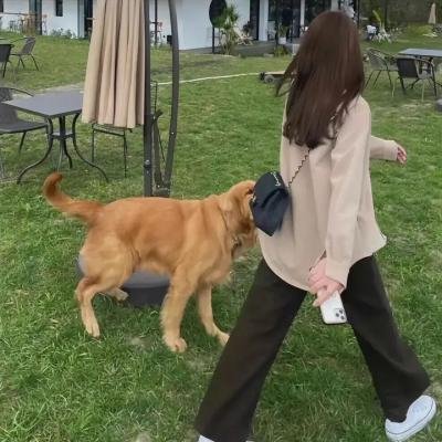 1 号组 · 顺势派夫妻 · 把任务当作体验